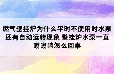 燃气壁挂炉为什么平时不使用时水泵还有自动运转现象 壁挂炉水泵一直嗡嗡响怎么回事